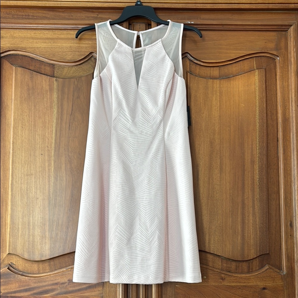 Elegant Sleeveless Dress in Light Pink
